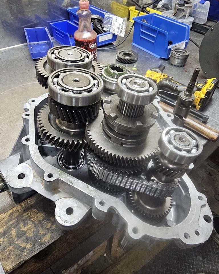 Differentials & Trans