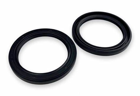 RS1 front Diff Seal